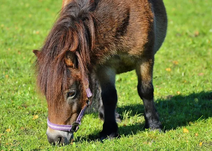 Cosy Near The Causses Du Quercy Dom wakacyjny *