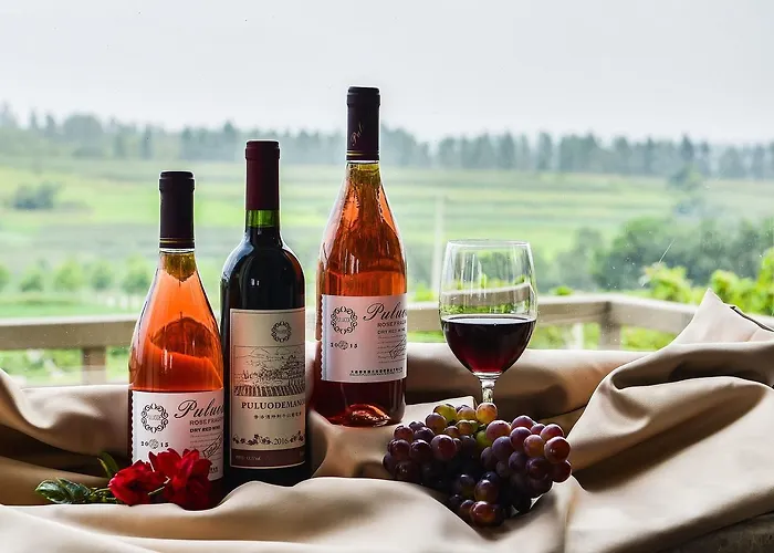 Cosy Near The Causses Du Quercy *