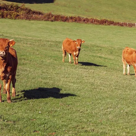 Cosy Near The Causses Du Quercy