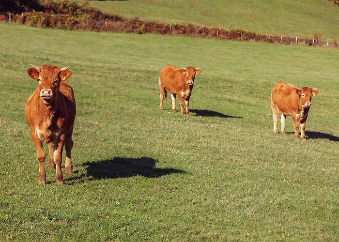 Cosy Near The Causses Du Quercy